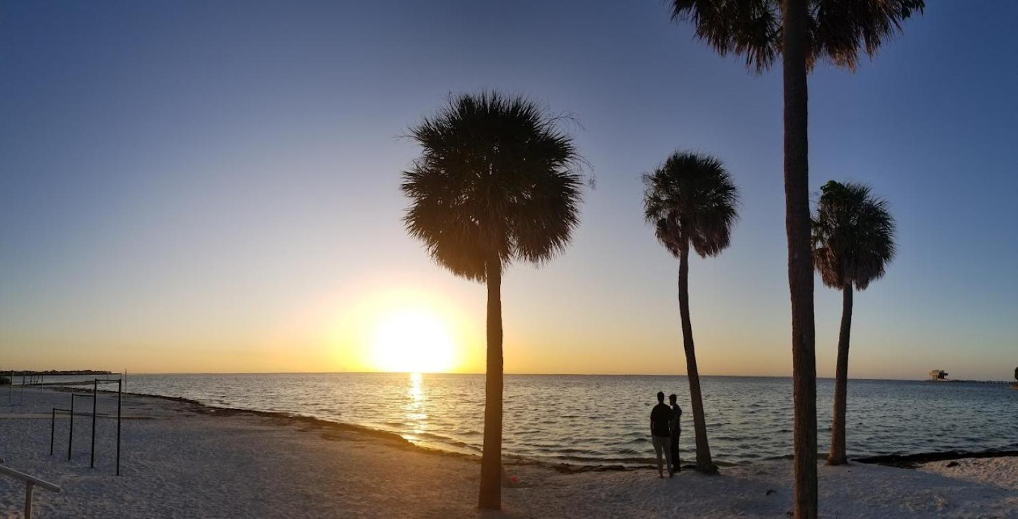 Elegant Studio Apartment In Downtown St Pete - Great Community Events! St. Petersburg Ngoại thất bức ảnh