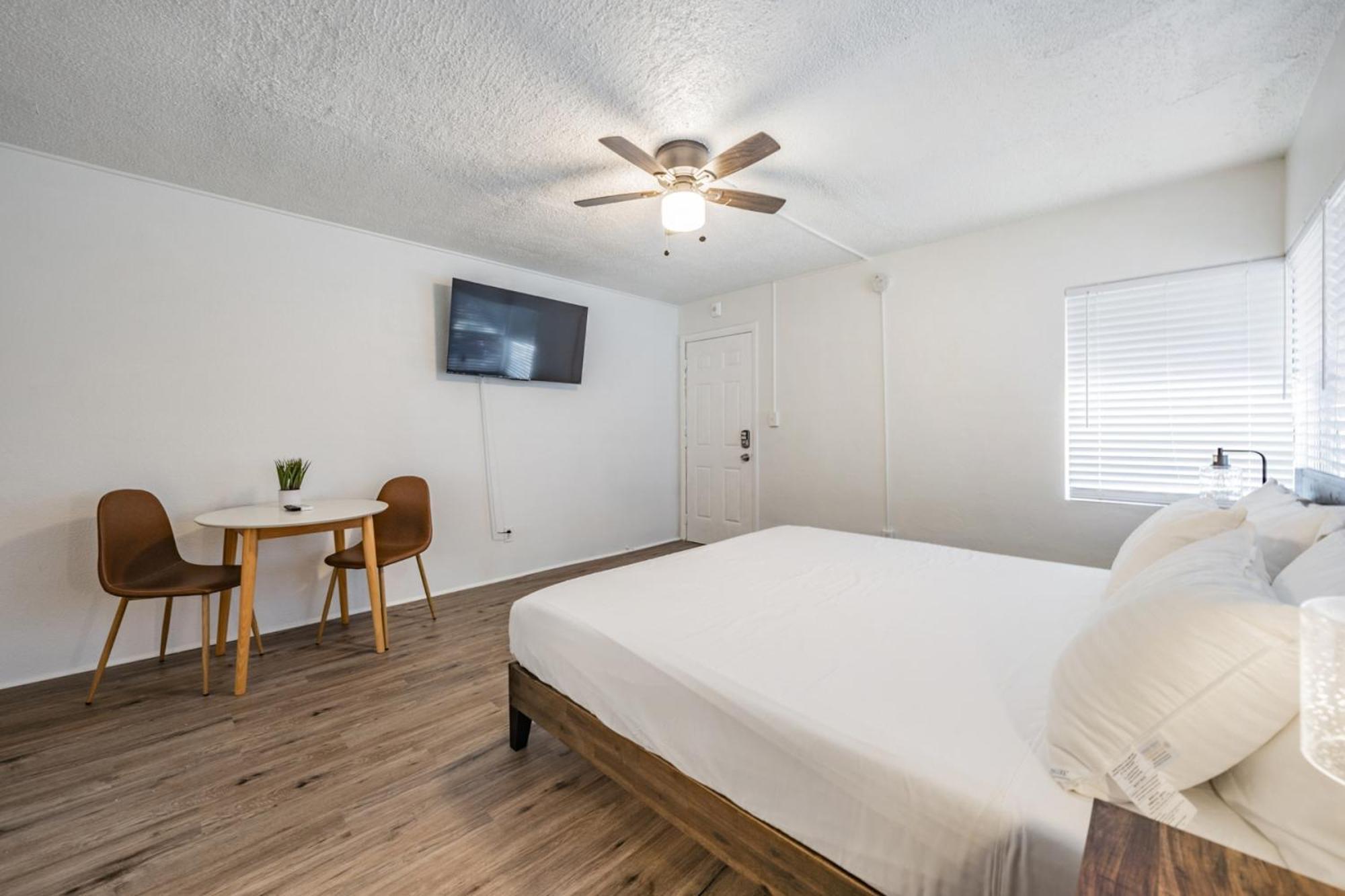Elegant Studio Apartment In Downtown St Pete - Great Community Events! St. Petersburg Ngoại thất bức ảnh
